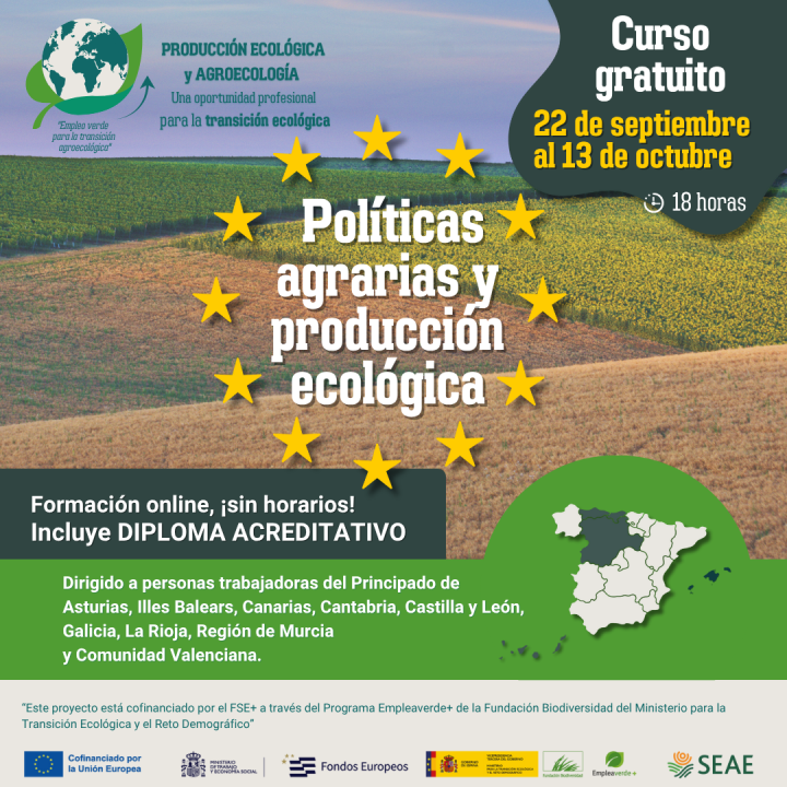 Curso online 